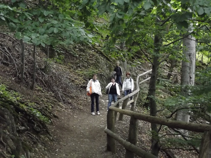 2015.Dolgozói kirándulás