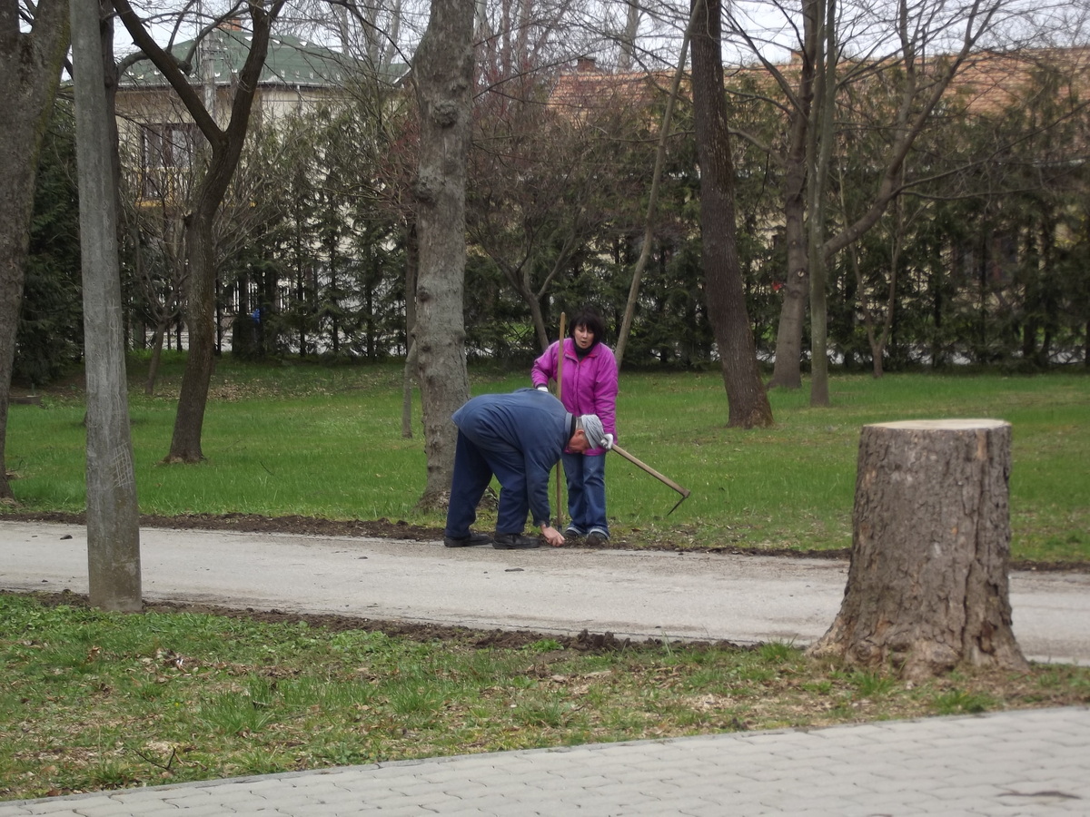 2015 Tavaszi dolgozói kertészkedés