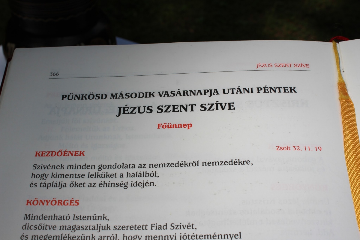 Jézus Szent Szíve Főünnep 2014.