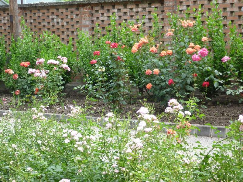 Jézus Szíve Ünnep 2010.