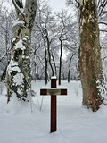 Hófehérbe burkolózva – JSZTIO