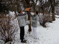 Gondoskodás a park madarairól – JSZTIO